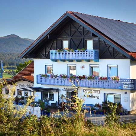Gaestehaus Am Goldberg Sankt Oswald-Riedlhuette Esterno foto