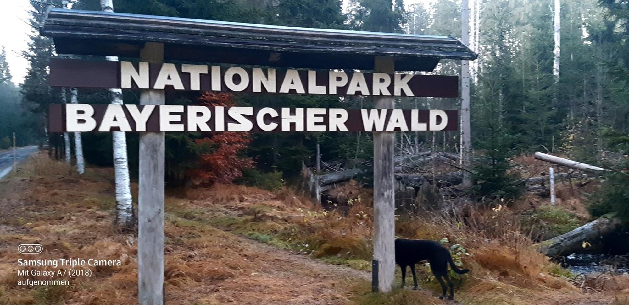 Gaestehaus Am Goldberg Sankt Oswald-Riedlhuette Esterno foto