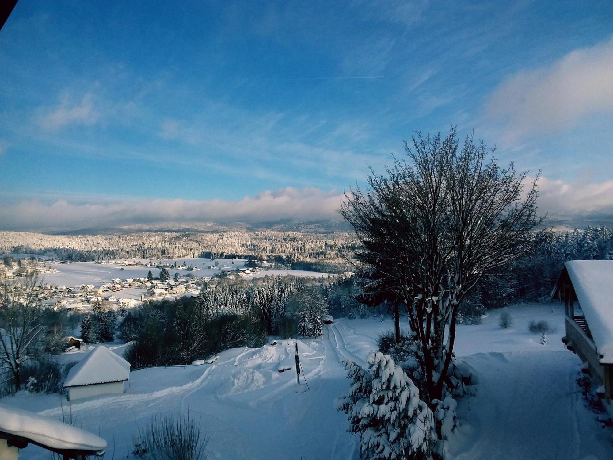 Gaestehaus Am Goldberg Sankt Oswald-Riedlhuette Esterno foto