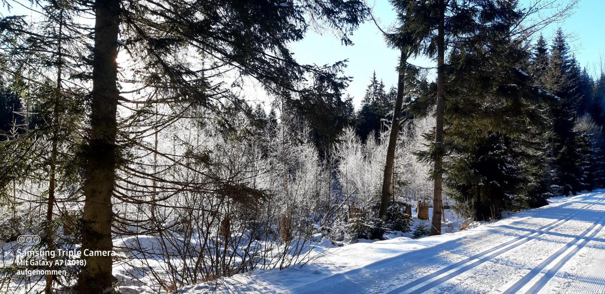Gaestehaus Am Goldberg Sankt Oswald-Riedlhuette Esterno foto