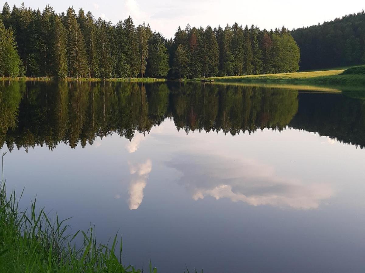 Gaestehaus Am Goldberg Sankt Oswald-Riedlhuette Esterno foto